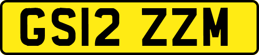GS12ZZM