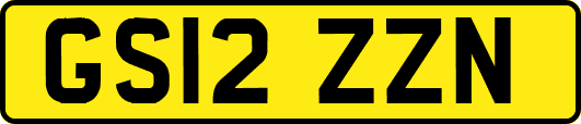 GS12ZZN