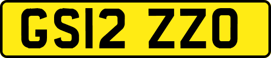 GS12ZZO