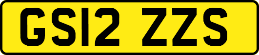 GS12ZZS