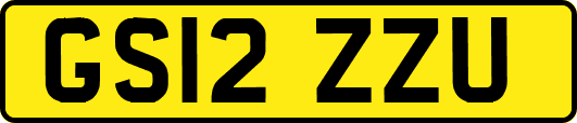 GS12ZZU