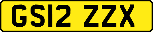 GS12ZZX