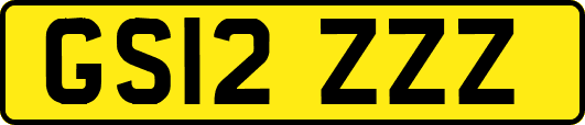 GS12ZZZ