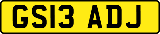 GS13ADJ