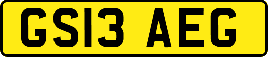 GS13AEG