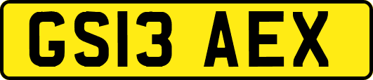 GS13AEX