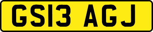 GS13AGJ
