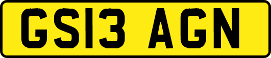 GS13AGN