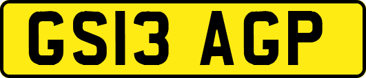 GS13AGP