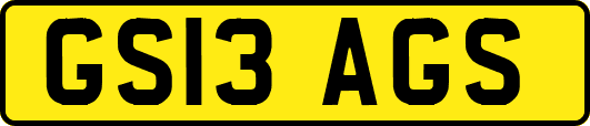GS13AGS