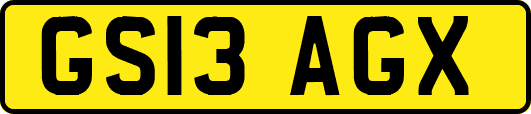 GS13AGX