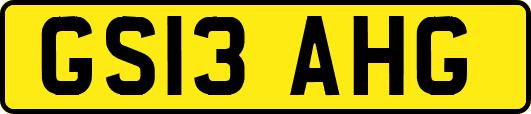 GS13AHG