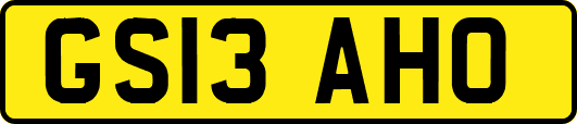 GS13AHO