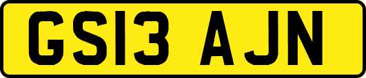 GS13AJN