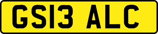 GS13ALC