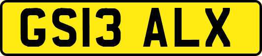 GS13ALX