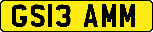 GS13AMM