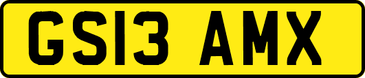 GS13AMX