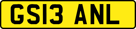 GS13ANL