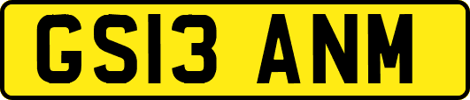 GS13ANM