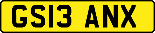 GS13ANX