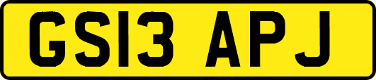 GS13APJ