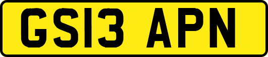 GS13APN