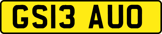 GS13AUO