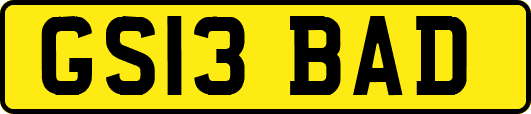 GS13BAD