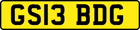 GS13BDG