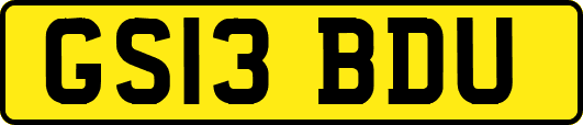 GS13BDU
