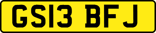 GS13BFJ