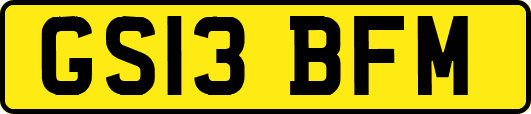 GS13BFM