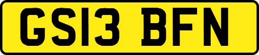 GS13BFN
