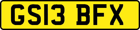 GS13BFX