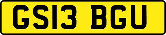GS13BGU