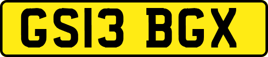 GS13BGX
