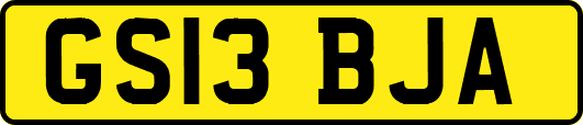 GS13BJA