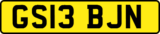 GS13BJN