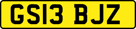 GS13BJZ