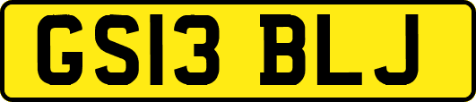 GS13BLJ