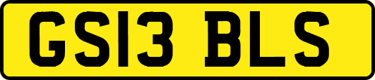 GS13BLS