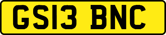 GS13BNC