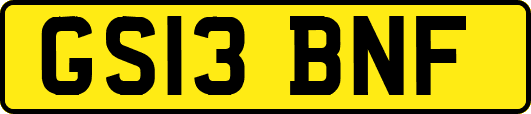 GS13BNF