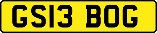 GS13BOG