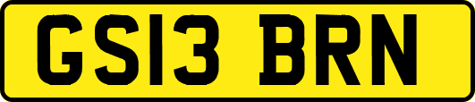 GS13BRN