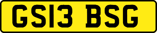 GS13BSG