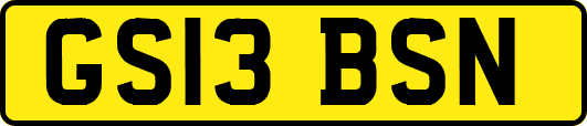 GS13BSN
