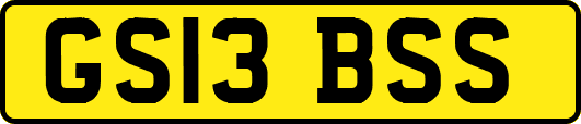 GS13BSS