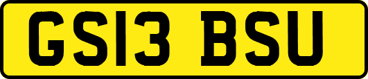 GS13BSU